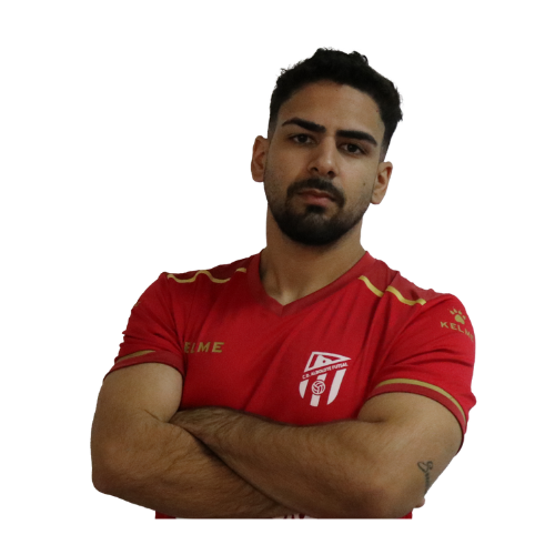 Image hover effect image