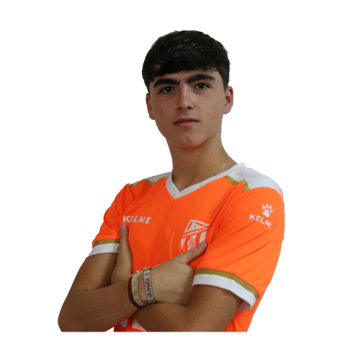 Image hover effect image