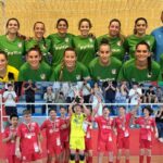 Lee más sobre el artículo El senior femenino PYLTIN Albolote FS asciende a División de Honor y el EAH Almagro Albolote FS se proclama campeón en la ‘Copa Diputación infantil’