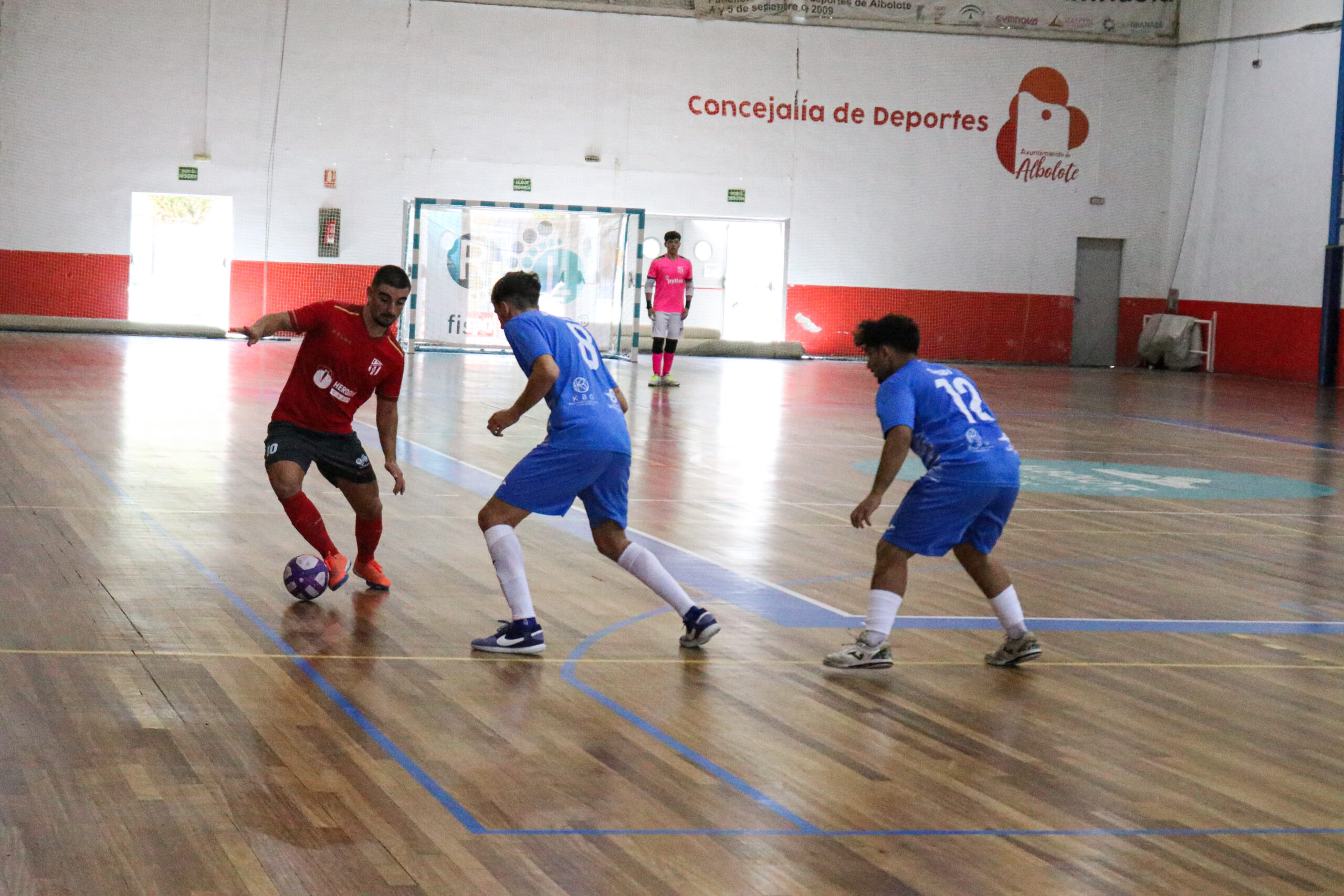 En este momento estás viendo El HEROGRA Albolote Futsal recibe a un rival directo como el Atlético Torre del Mar