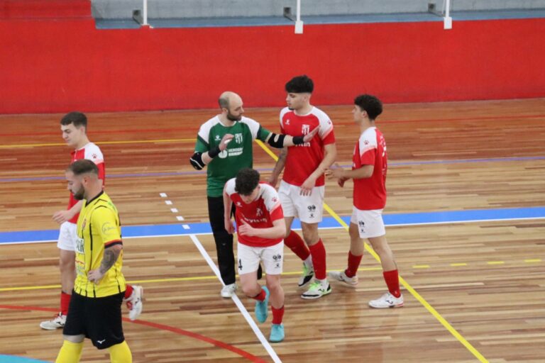 Lee más sobre el artículo El HEROGRA Albolote FS peleará por acabar en el quinto puesto ante un Vícar que se juega la permanencia
